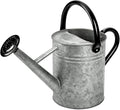 Metal Watering Can, 1 Gallon for Outdoor Garden Plants,SilverB by yourjoy