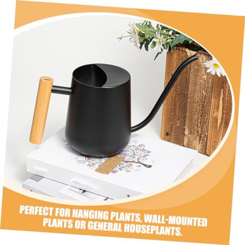 Watering Can with Long Spout and Wood Handle Stainless Steel 1000ml - Image 6