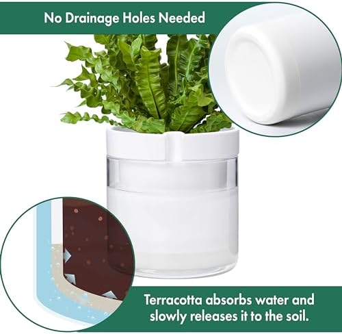 Phoenix Vine 8 Inch Self Watering Planter, White Terracotta Clay Pot with Glass Reservoir for Indoor Plants, Herbs, Flowers, Set of 1, 52-B-H-1 - Image 5