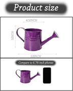 Green 1l Small Watering Can – Retro Metal,Sprinkler Head,Spray Spout for Indoor Plants,Kids,Outdoor Flowers & House - Image 5