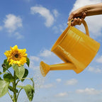 Metal Watering Can for Indoor Outdoor Garden Modern Minimalist Design with Detachable Sprinkler Head Ergonomic Comfort Grip Handle Efficient Irrigation Tool for Flower Lovers and (C, 24.5X11.5X11CM) - Image 2