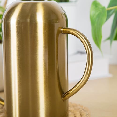 Plant Watering Can, Small 023 Gallon Leak Proof Water Can for Plants with Long Spout,Lightweight Stainless Steel Modern Indoor Watering Cans for House Plants for Gardening Home Flower Outdoor - Image 5