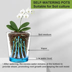 6 inch self Watering Pot with Clear Nursery Pot Inside,Black,6pack - Image 6