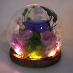 Zerodis H Icrafts Light LED Flower Glass Ball Lamp with Handcrafted Dome for Home Decor Bedroom Office Gift Rose Flowers Glass Globe (Type 2) - Image 7