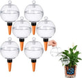 6 Pack 26oz Extra Large Plant Self Watering Globes to 3 Weeks Watering by Unknown