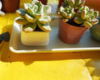 VUWEZ 2 Pack Plastic Plant Tray Saucer Rectangular 30 inch, Indoor/Outdoor Plant Water Drip Tray for Flower Pot Planter, Windowsill (8 X 30'', Beige) - Image 4