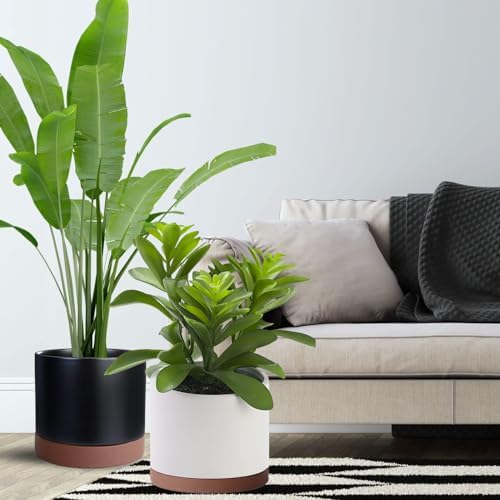 Yukfona Ceramic Plant Saucer Tray 2 Pcs 8 Inch Brown, 8.5" OD x8.15 ID x1 Deep| Fits Flower pots Bottom≤ 8.15", Heavy Duty Glazed Round Planter Drip with Catch Basin for Indoor Outdoor Plants - Image 6