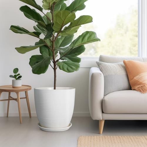 Plant Water Catcher Trays - Ceramic Plant Saucers 12 Inch Plant Trays for Indoors No Holes Plant Drip Trays Drainage Decorative Flower Pot Saucers Large Plant Dishes 2 Pack White - Image 6