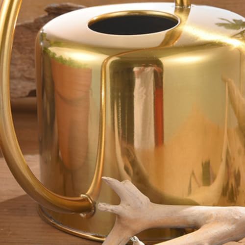 1.3l Stainless Steel Watering Can with Long Spout for Plants - Image 5