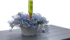 Plant Nanny Emerald Wine Bottles & Watering Stakes Kit - Image 2