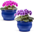 2 Set 6 Inches African Violet Pots Ceramic Self Watering Pots for Indoor Plants with Highly Absorbent Inner for Busy Plant Lovers Flower Maintenance (Blue) by Romooa