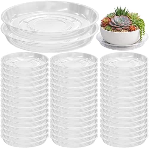 50 Packs 10" Clear Plant Saucers for Indoor Outdoor Use Heavy Duty Plastic Plant Trays for Planter Flower Pot Drip Trays to Catch Water, Bulk 4 to 20 Inch, Round Transparent by Planterhoma