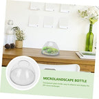 Totority Glass Plant Terrarium Bottle Xmas for DIY Micro Landscape - Image 3