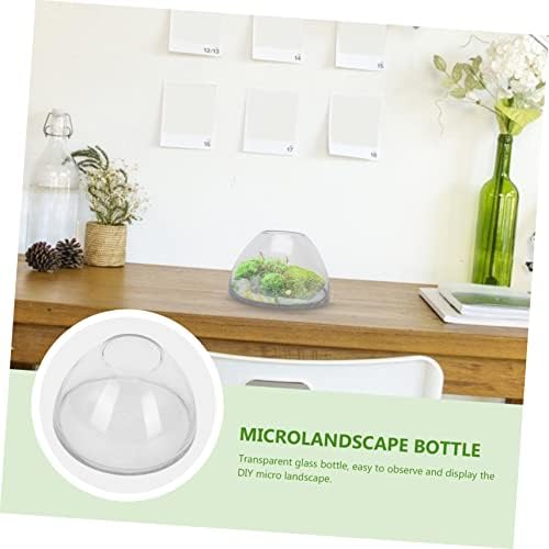 Totority Glass Plant Terrarium Bottle Xmas for DIY Micro Landscape - Image 3