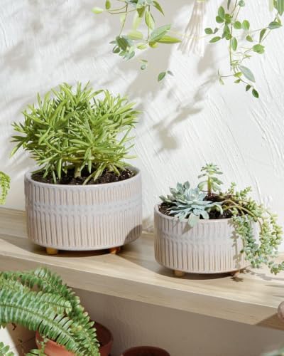 LE TAUCI Succulent Pots, 6.5+8 Inch Ceramic Indoor Plant Pot with Drainage Hole, Shallow Round Succulent Planters, Set of 2, Reactive Glaze Star White - Image 4