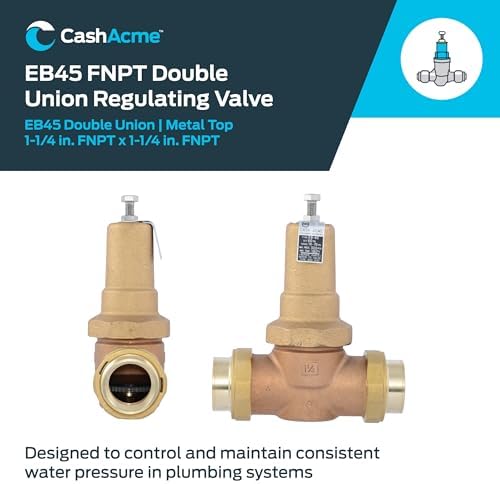 Cash Acme EB45 Pressure Regulating Valve, Double Union, 1-1/4 Inch NPT Female, Metal Top, 60 PSI, PVA35M-DUTH-60 - Image 2
