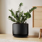 LE TAUCI 10 inch Plant Pot, Ceramic Pots for Plants, Black by LETAUCI