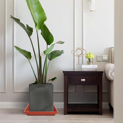 Plant Saucer 12 Inch Square 4 Pack, Plastic Plant Drip Trays, Plant Saucers for Indoors and Outdoors, Flower Pot Saucers, Saucers for Potted Plants, Planter Saucer, Plant Water Catcher Trays for Pots - Image 7