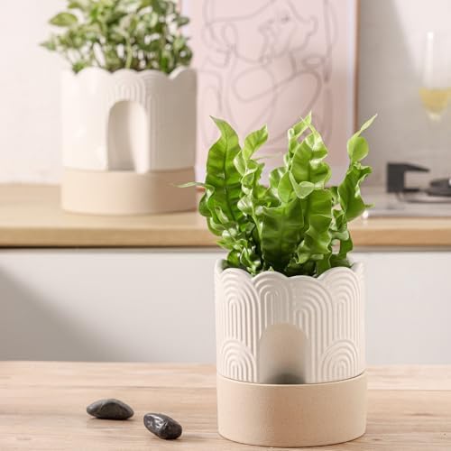 Nihow Ceramic Self Watering Pots for Indoor Plants, 6+8 Inch,Beige Set 2 - Image 5