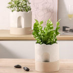 Nihow Ceramic Self Watering Pots for Indoor Plants, 6+8 Inch,Beige Set 2 - Image 5