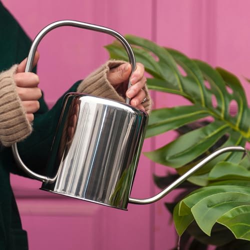 OSALADI Stainless Steel Watering Kettle Small Long Spout for Succulents Indoor Outdoor Plants Gardening Watering Can - Image 5