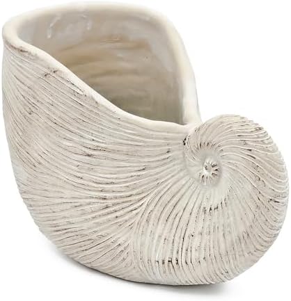 Nautilus Shell Planter, 11.5 Inch, Textured Beige Finish - Image 2