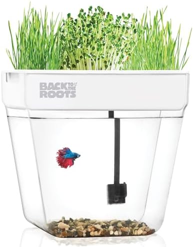Back to the Roots Indoor Aquaponic Garden - 3 Gallon Self Watering, Mess-Free Planter and Self-Cleaning Fishtank for Herbs, Microgreens, Bamboo, Succulents, and Houseplants, support Fish by BacktotheRoots