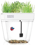 Back to the Roots Indoor Aquaponic Garden - 3 Gallon Self Watering, Mess-Free Planter and Self-Cleaning Fishtank for Herbs, Microgreens, Bamboo, Succulents, and Houseplants, support Fish by BacktotheRoots
