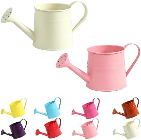 Watering Can Metal, Indoor Plant Watering Can with Long Spout (C2PCS) by Unknown