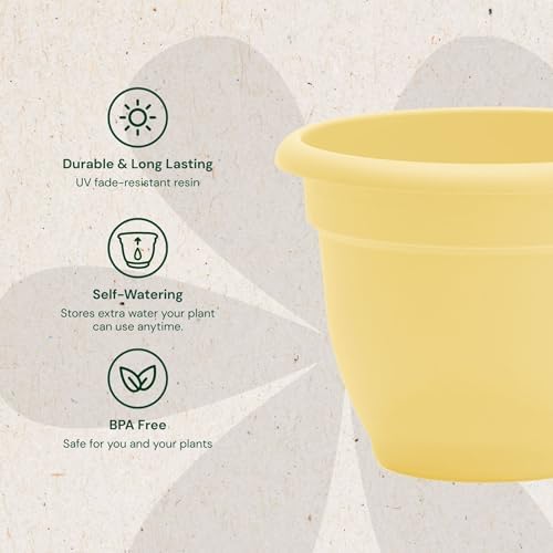 Bloem Ariana 10" Plastic Self-Watering Planter, Daffodil, 4-Pack - Image 3