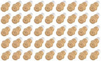 Plastic Fogger Misting Nozzle With Poly Filter Cream 1/8" NPT 2 GPH 50 Pack by ProWaterParts