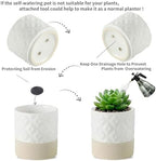 Nihow Self Watering Plant Pot for Indoor Plants: 4.5+6 Inch Ceramic Planter with Drainage Hole & Water Storage Plus - Cylinder Flower Pot with Wick for Herbs - Matte White & Brown Star - Image 3