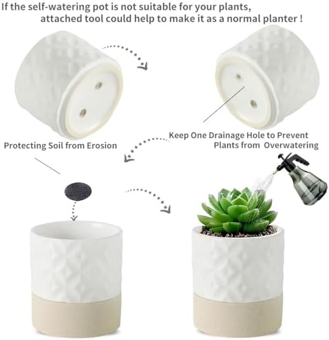 Nihow Ceramic Self Watering Plant Pot for Indoor Plants, 6 Inch,Cream White - Image 3