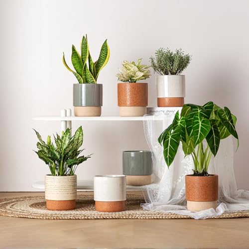 6 Inch Ceramic Self Watering Planter with Drainage Hole, Dark Grey - Image 7