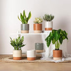 6 Inch Ceramic Self Watering Planter with Drainage Hole, Dark Grey - Image 7