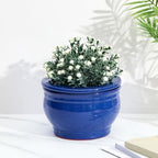 2 Set 6 Inches African Violet Pots Ceramic Self Watering Pots for Indoor Plants with Highly Absorbent Inner for Busy Plant Lovers Flower Maintenance (Blue) - Image 2