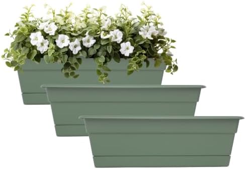 Bloem Dura Cotta 24" Plastic Window Box Planter with Saucer, Basil, 3-Pack by Bloem