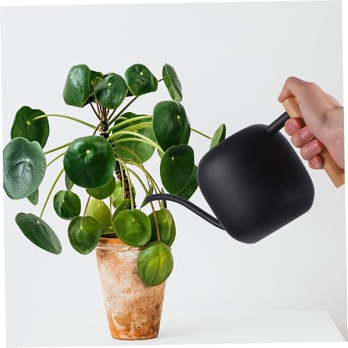 Generic Metal Watering Can for Indoor Plants with Long Spout and Wooden Handle Garden Watering Pot for Succulents and Flowers Ergonomic Design and Easy Refilling - Image 7