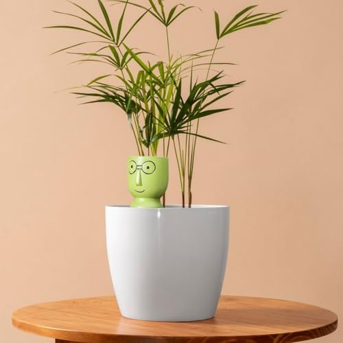 4 Pcs Terracotta Self-Watering Spikes for Plants, Funny Big Head Glasses Shape, Colorful Drip Irrigation Spikes, for Outdoor Plants and Vacation Use, Easy Water Release, Yellow Green Blue Orange - Image 2