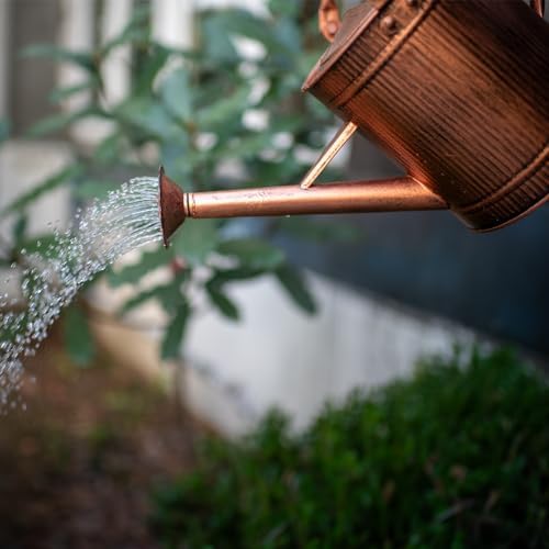 1 Gallon Copper Metal Watering Can, Removable Spout - Image 5