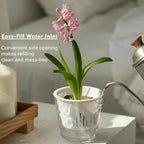 8.5 Inch Self Watering Plant Pots for Indoor Plants 6 Packs African Violet Pot, Self Watering Planters for Herb, Orchid, Devil's Ivy, Flower Houseplant Planters, Clear Plant Pots, White - Image 4