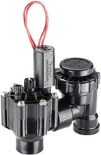 Hunter 3/4" Anti-Siphon Valve and Rain Bird 3/4" 30 PSI Drip Irrigation Pressure Regulating Filter - Image 3