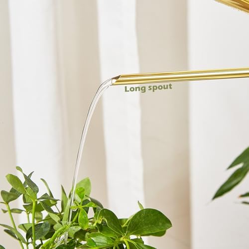 Watering Can for Indoor Plants, 50 oz/1.5L Stainless Steel Watering Can Pot with Long Spout, Garden Watering Cans with Comfortable Handle for Indoor House Plants Bonsai Flower Decorative - Image 5