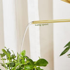 Watering Can for Indoor Plants, 50 oz/1.5L Stainless Steel Watering Can Pot with Long Spout, Garden Watering Cans with Comfortable Handle for Indoor House Plants Bonsai Flower Decorative - Image 5
