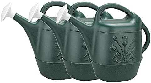 Novelty Classic Watering Plastic Can, Green, 2 Gallon (Pack of 3) by Novelty