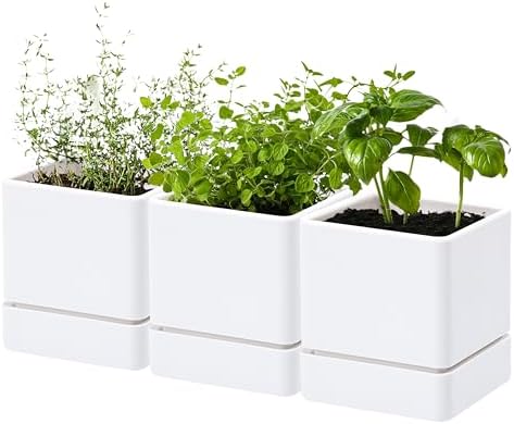 D'vine Dev 3-Pack Plastic Herb Planter Pots, 4 in, White, 76-Y-A3-1 by DvineDevPlanterPotsandStand