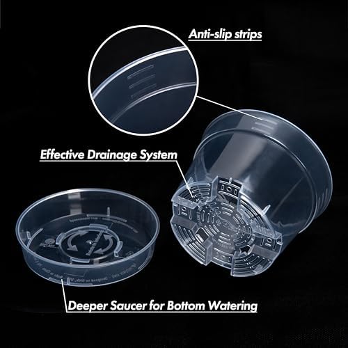 6 Inch Clear Plastic Plant Pot with Drainage Holes, Interlocking & Detachable Tray - Deep Saucer - Durable BPA-Free Plastic, Transparent Design, Raised Base for Airflow, Set of 24, 92-X-C-4 - Image 5