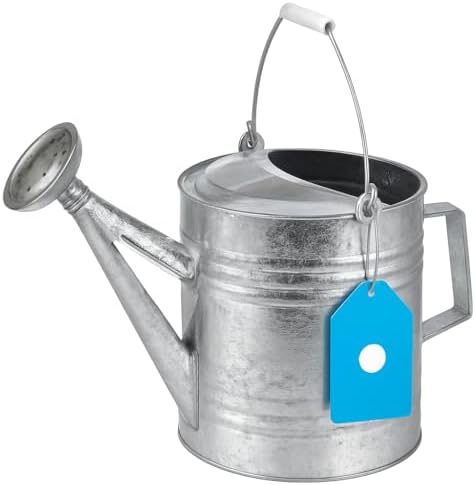 208 2-Gallon Steel Watering Can, Silver 208RH by Triplenet+Pricing