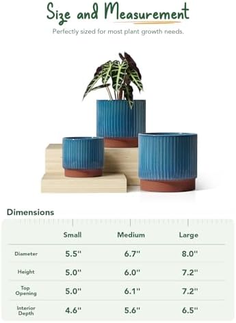LE TAUCI Ceramic Pots for Plants, 8+6.7+5.5 Inch Plant Pots Indoor, Flower Pot with Drainage Holes, Medium Cylinder Planters for Indoor House Plants, Set of 3, Blue - Image 6