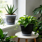RooTrimmer 10 Pack 8 Inch Clear Nursery Pots with Drainage Holes & Saucers - Image 5